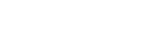 Netect Intelligence